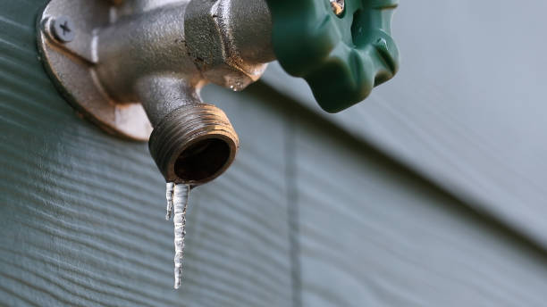 Best Shower Repair Services  in Bonita, CA