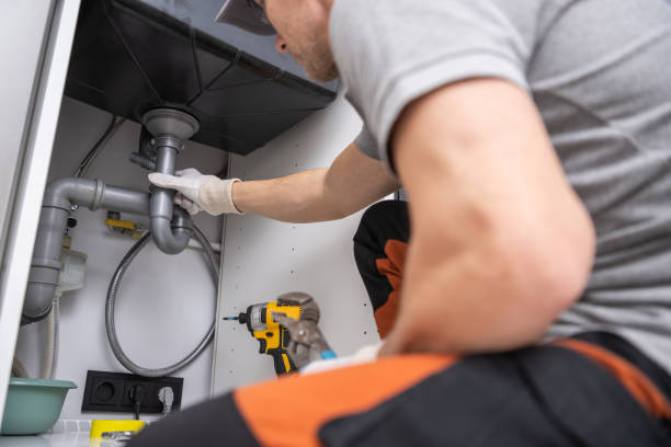 Best Residential Plumbing Services  in Bonita, CA