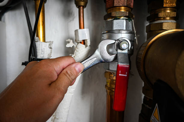 Best Toilet Repair Services  in Bonita, CA